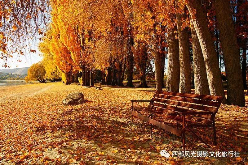 嫌弃陈哲远，单方面点名金世佳窦骁当男主
